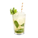 Syrup Mojito Mint Monin FRA 6x1ltr