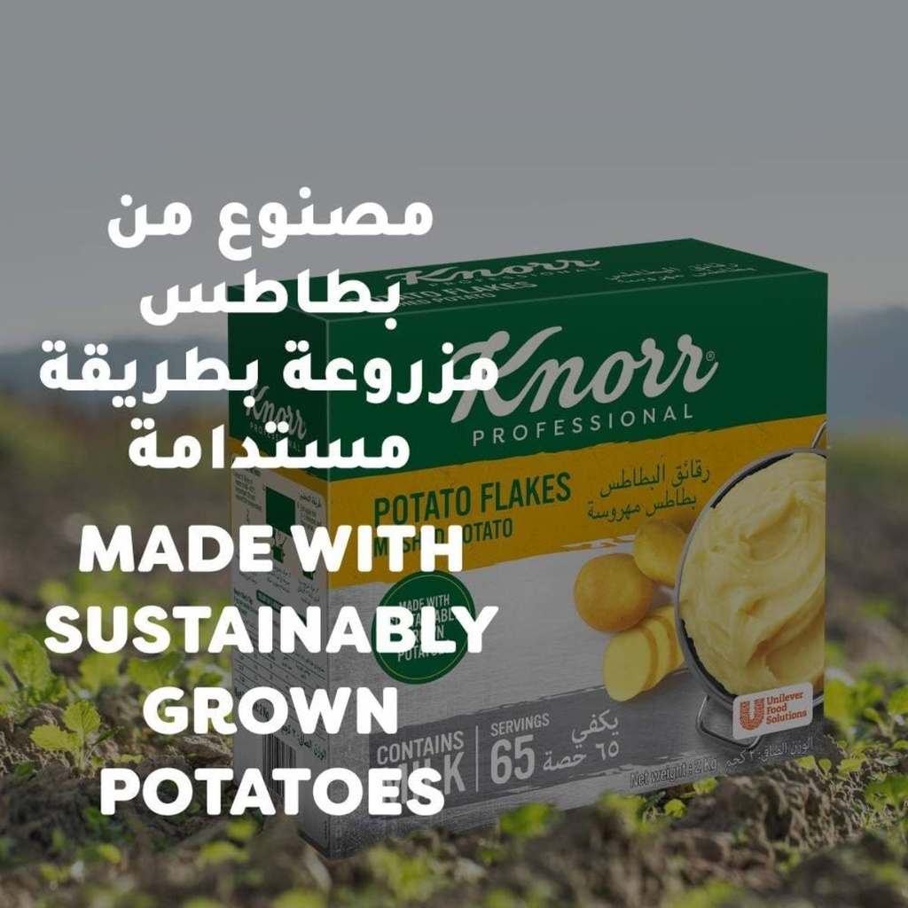 Knorr Potato Flakes Mashed Potato - 1x2kg