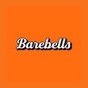 Barebells Salty Peanut Protein Bars - 12x55g