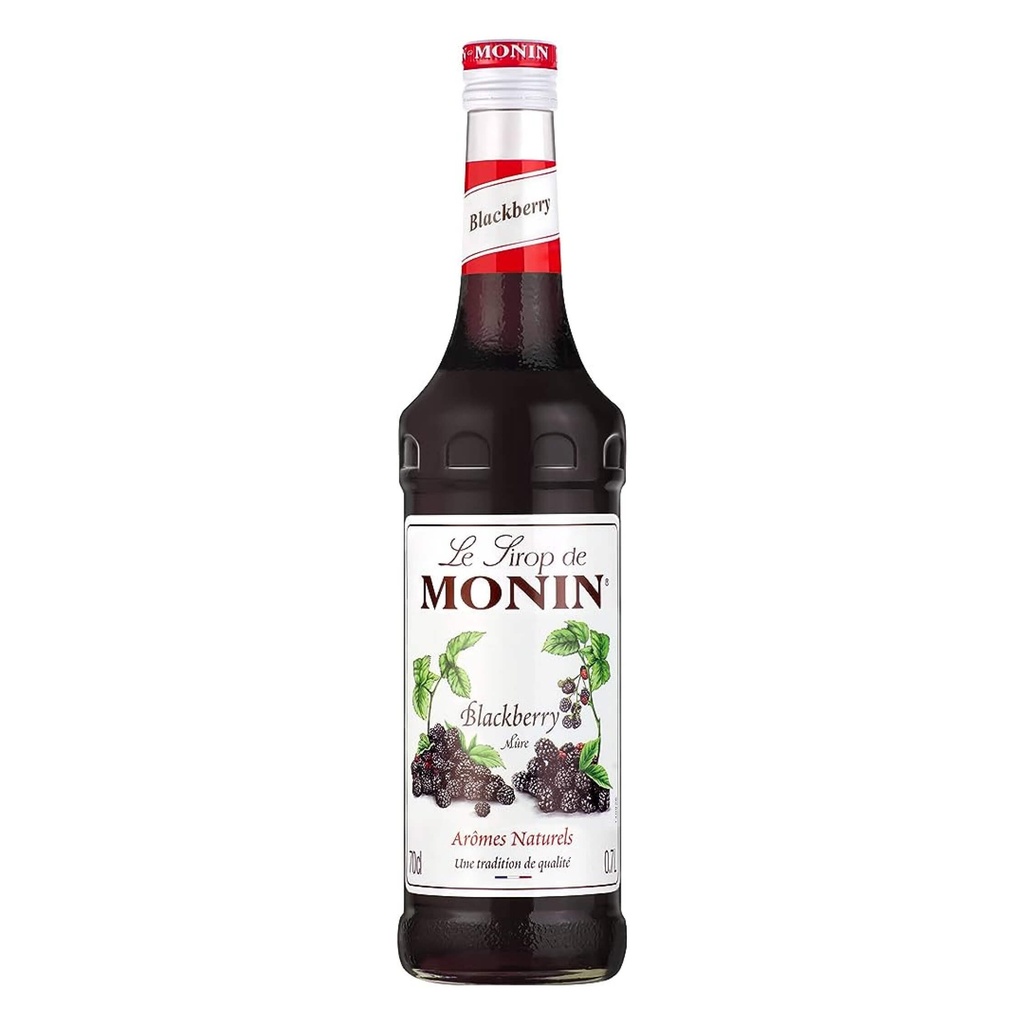 Monin Blackberry Syrup, France - 6x700ml