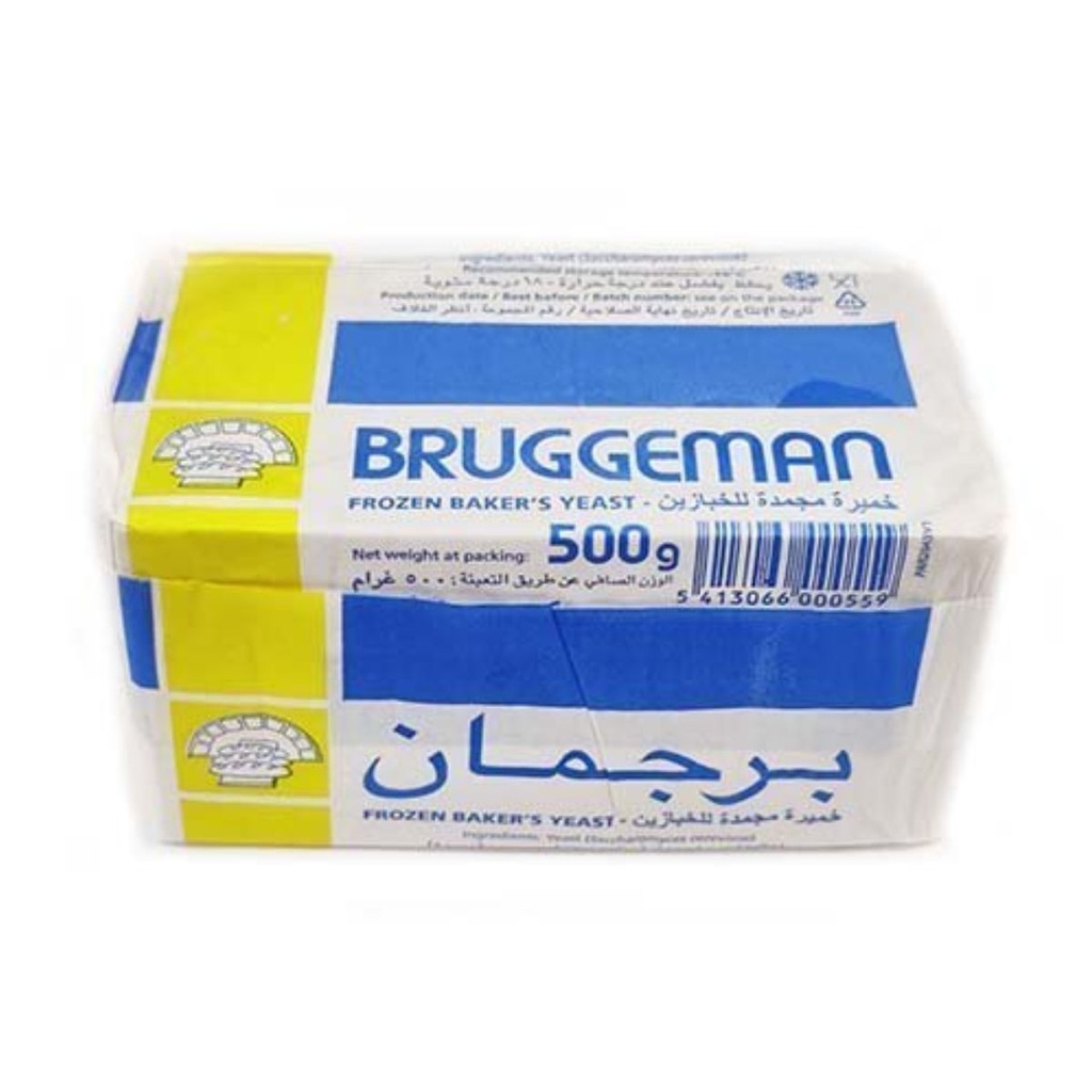 Bruggeman Yeast, Frozen - 20x500g