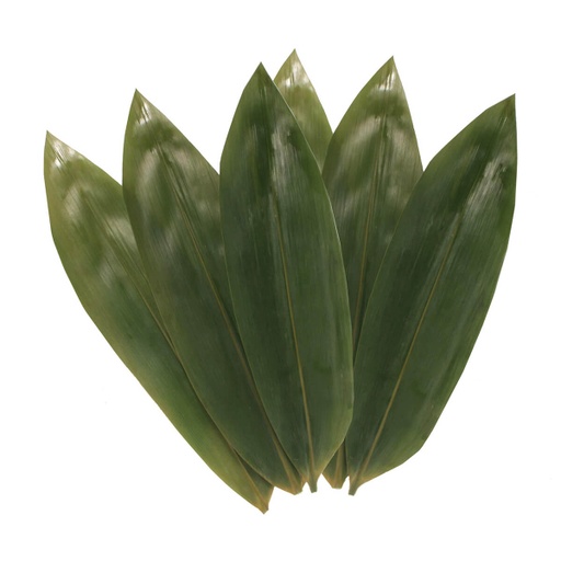 QING Bamboo Leaves - 30x100pc