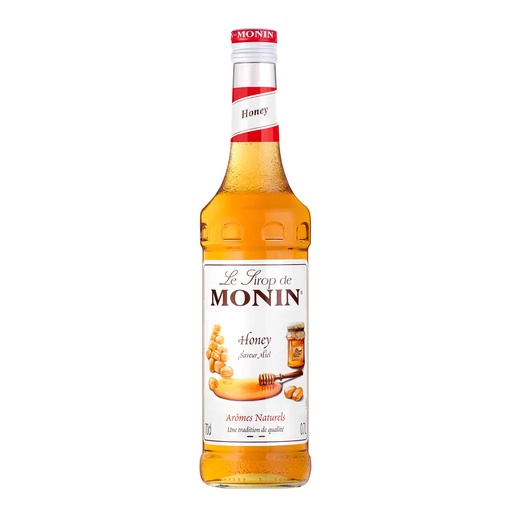 Monin Honey Syrup, France - 6x700ml