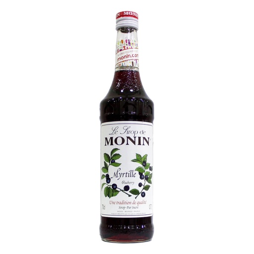Monin Blueberry Syrup, France - 6x700ml