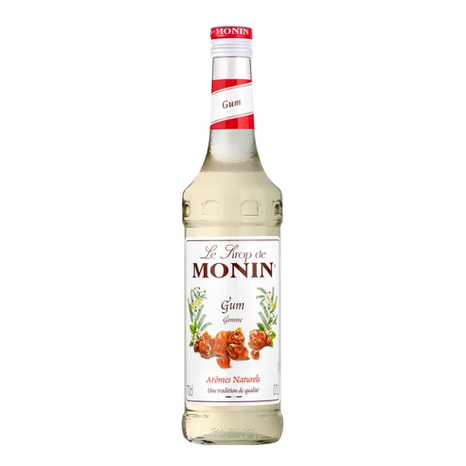 Monin Gum Syrup, France - 6x700ml